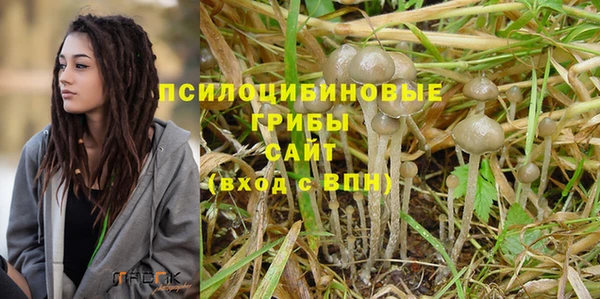 стафф Армянск