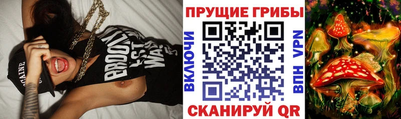 Псилоцибиновые грибы Magic Shrooms Боровск